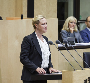 Ministerin Dörte Schall spricht im Bundesrat